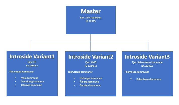 Illustration af sammenhæng mellem Master og Variant